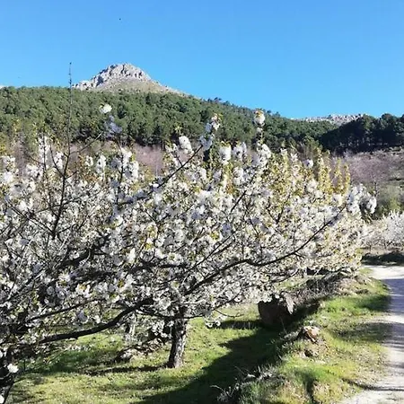 Alojamiento Gredos-tietar I *